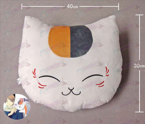 Cat insegnante Pillow