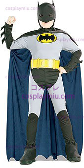 Animated Batman Costumi