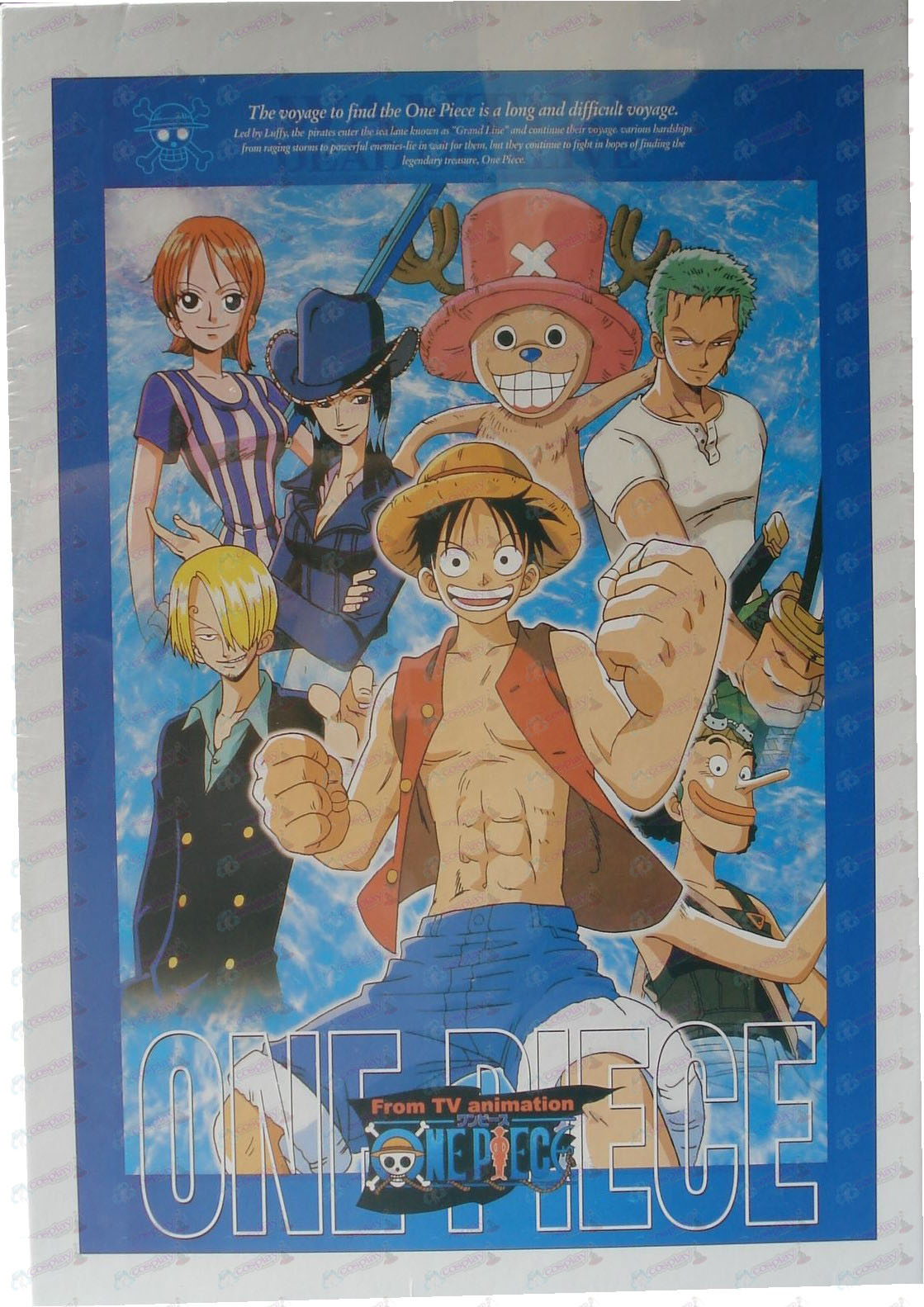 One Piece Accessori enigmi 10-368