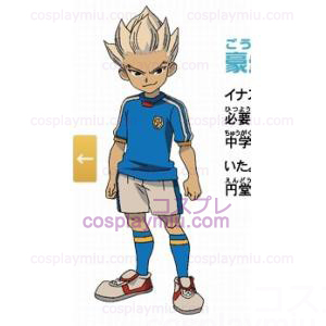 Inazuma Eleven Inazuma Japan Estate Soccer Uniform Cosplay CostumiI